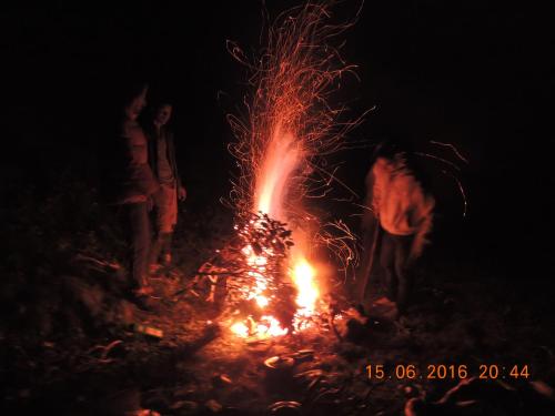 Imagen 5 de 25