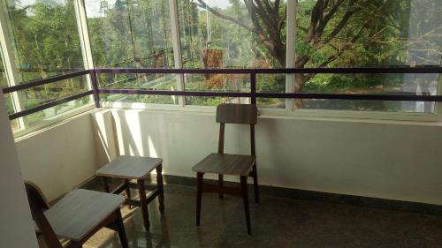 Imagen 3 de 5