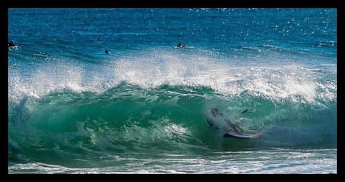 Imagen 4 de 9