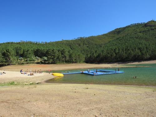 Imagen 1 de 8