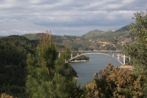 Imagen 3 de 8