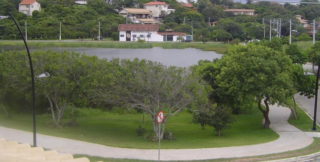 Imagen 5 de 31