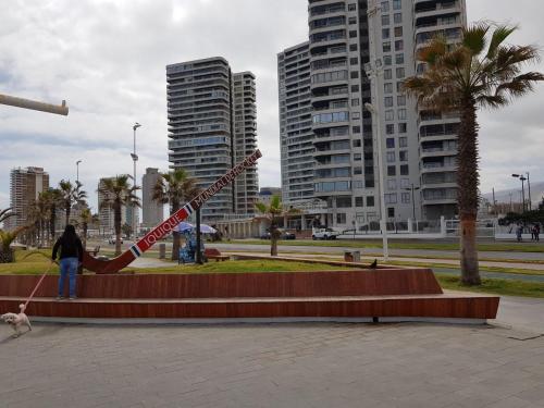 Imagen 3 de 22