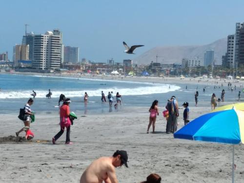 Imagen 1 de 21