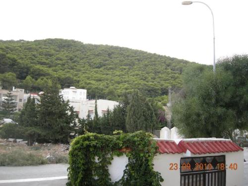 Imagen 1 de 13