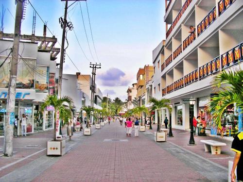 Imagen 1 de 61