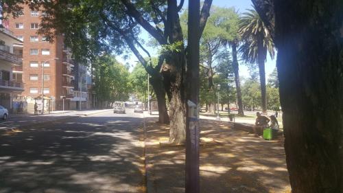Imagen 2 de 11