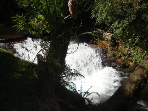 Imagen 4 de 111