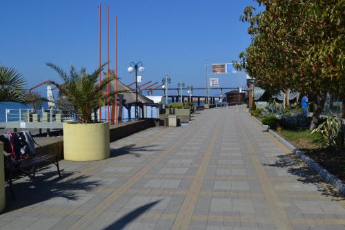 Imagen 4 de 31