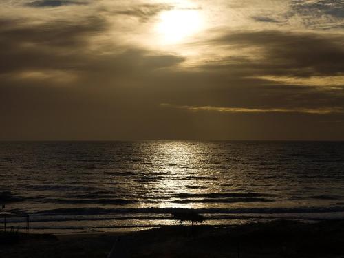 Imagen 3 de 103