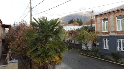 Imagen 5 de 14