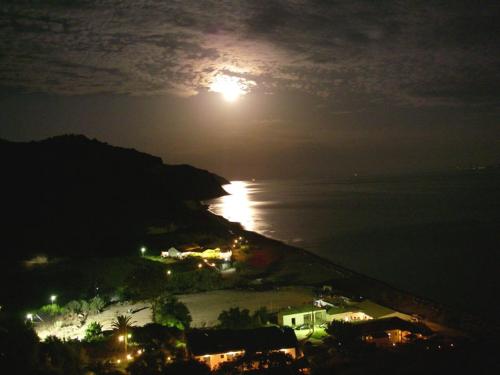 Imagen 2 de 32