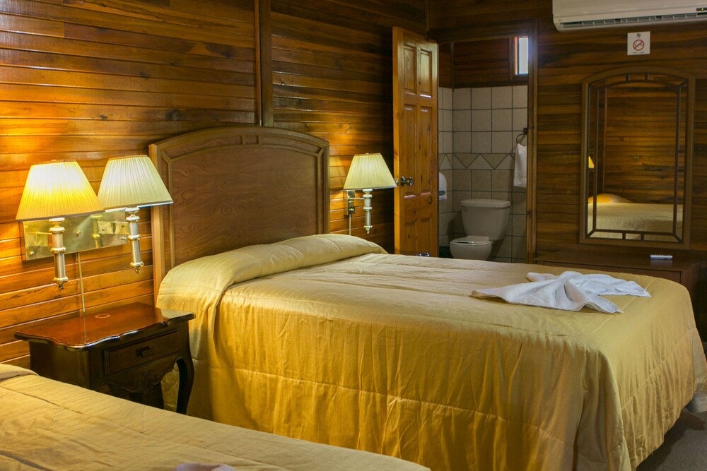 Imagen 4 de 22