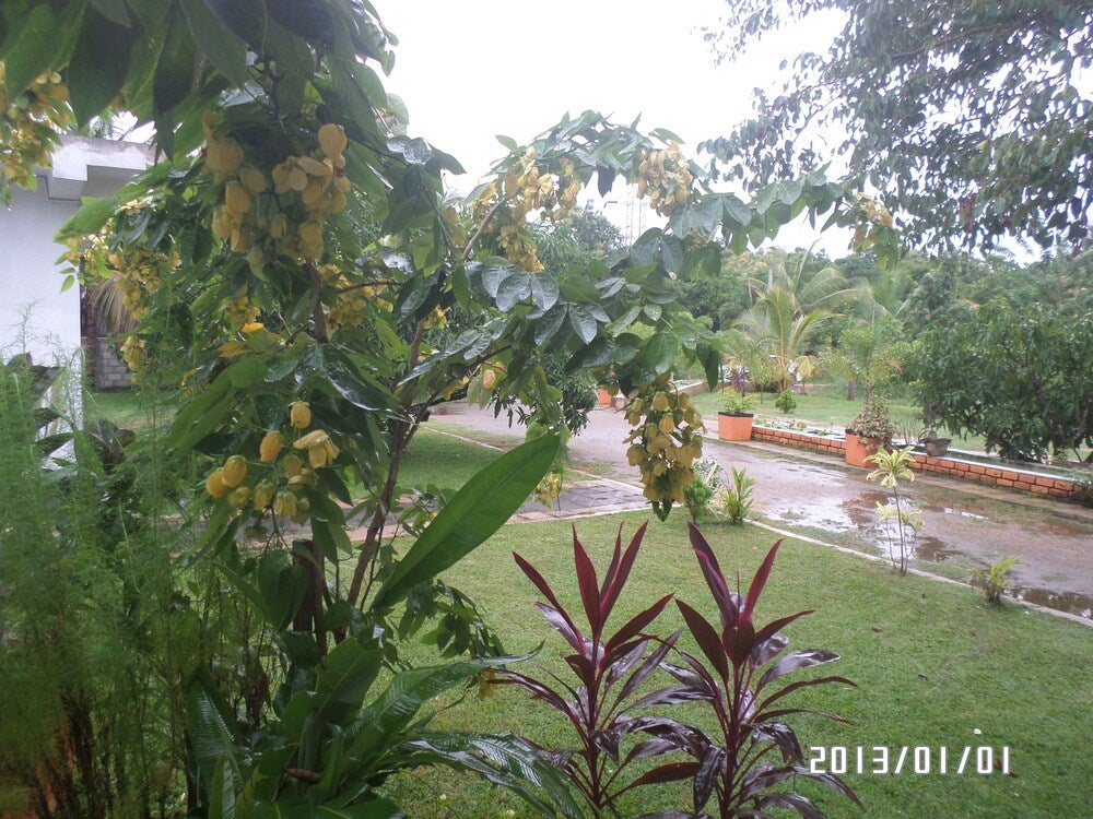 Imagen 2 de 14