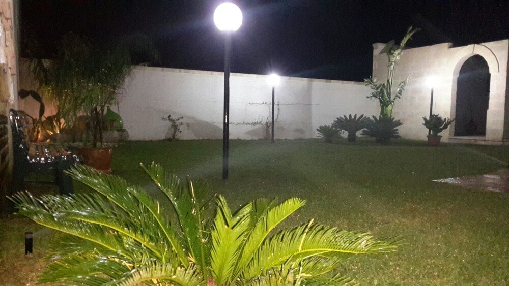 Imagen 4 de 12