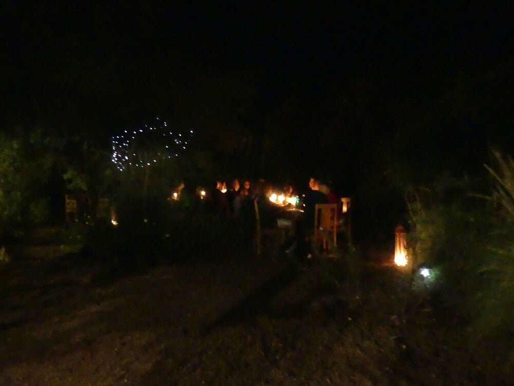 Imagen 3 de 53