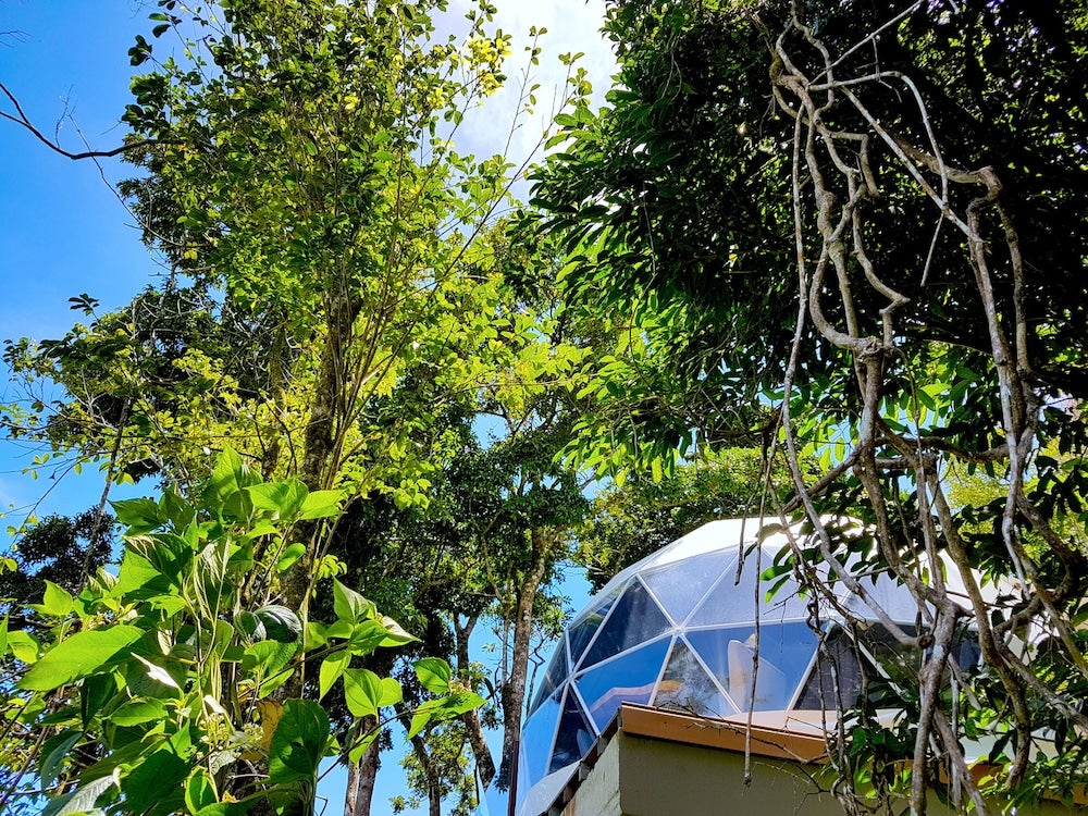 Imagen 4 de 37