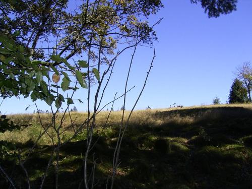 Imagen 4 de 35