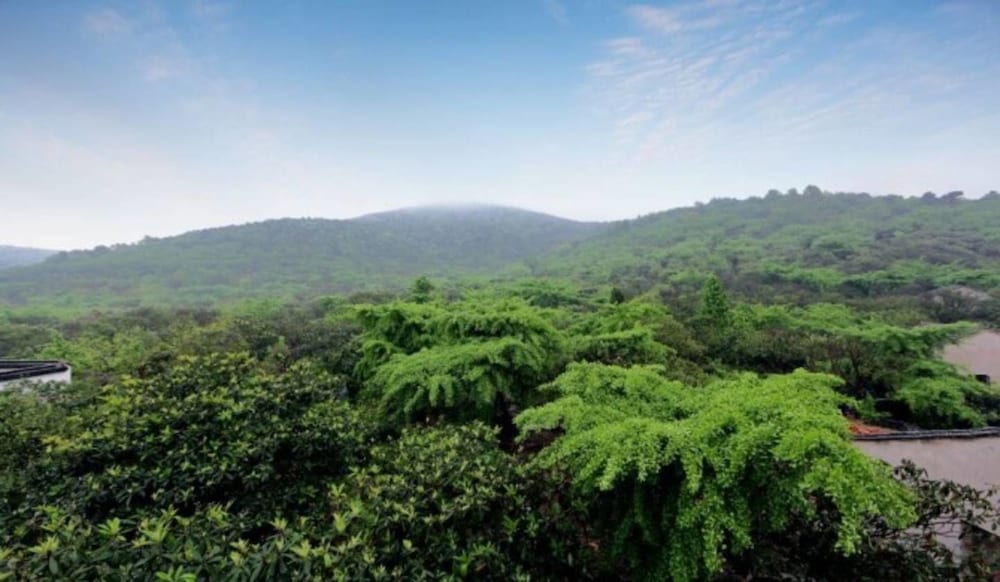 Imagen 1 de 5