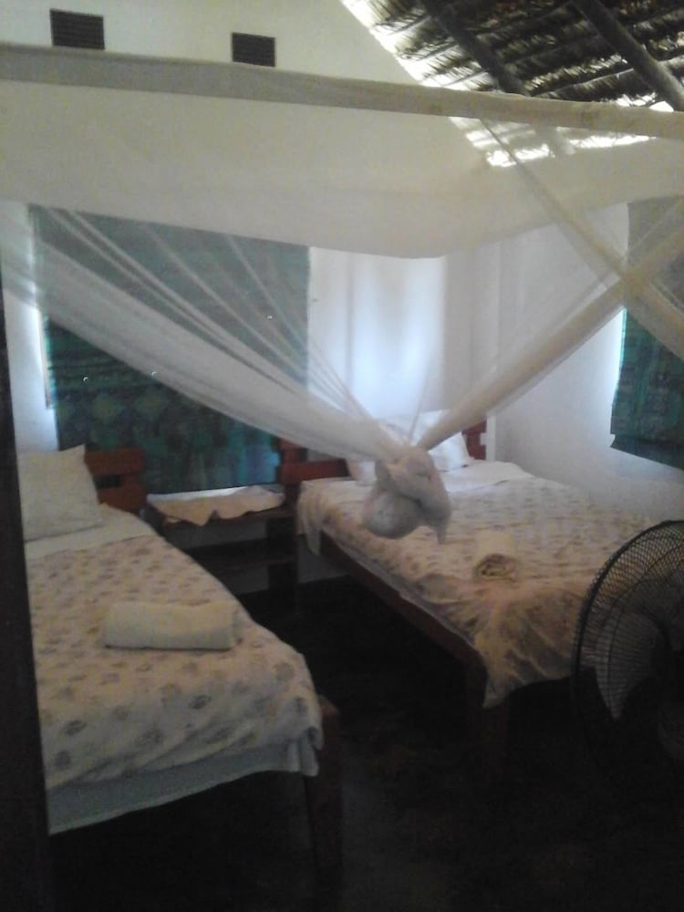 Imagen 4 de 4