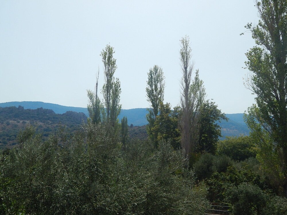 Imagen 2 de 26