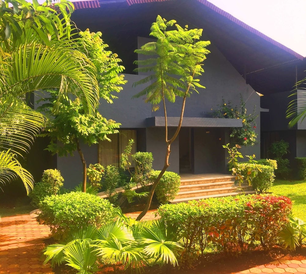 Imagen 2 de 13
