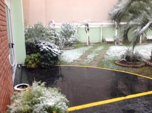 Imagen 1 de 50