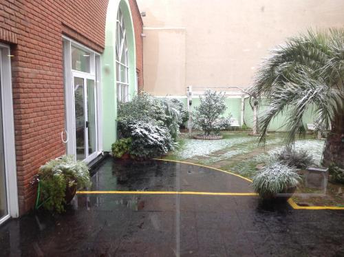Imagen 3 de 50