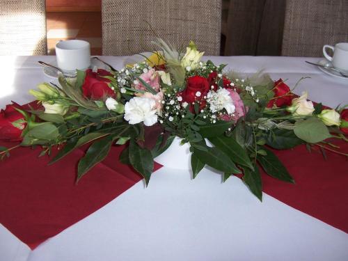 Imagen 3 de 40