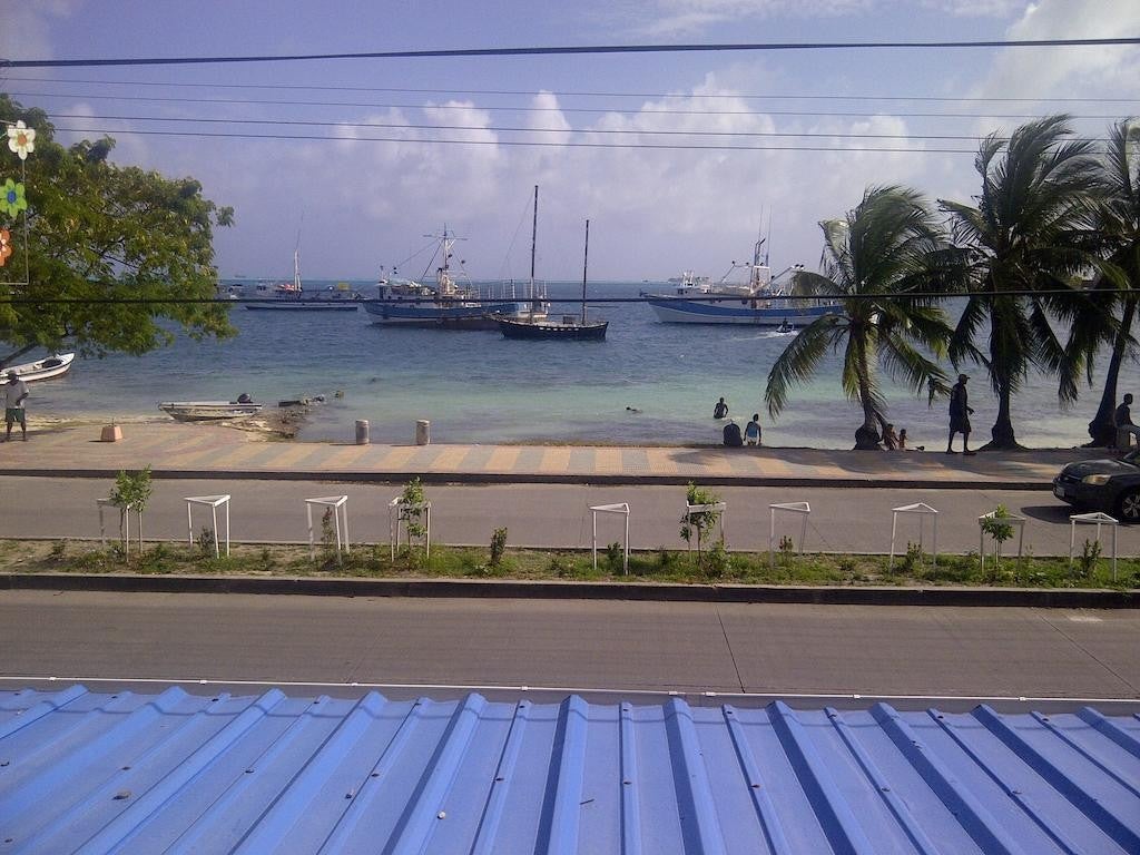 Imagen 2 de 19