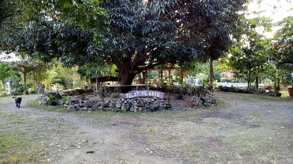 Imagen 1 de 42
