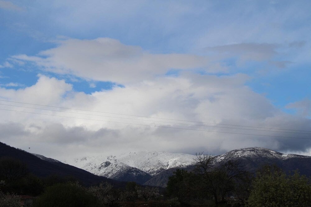 Imagen 2 de 14