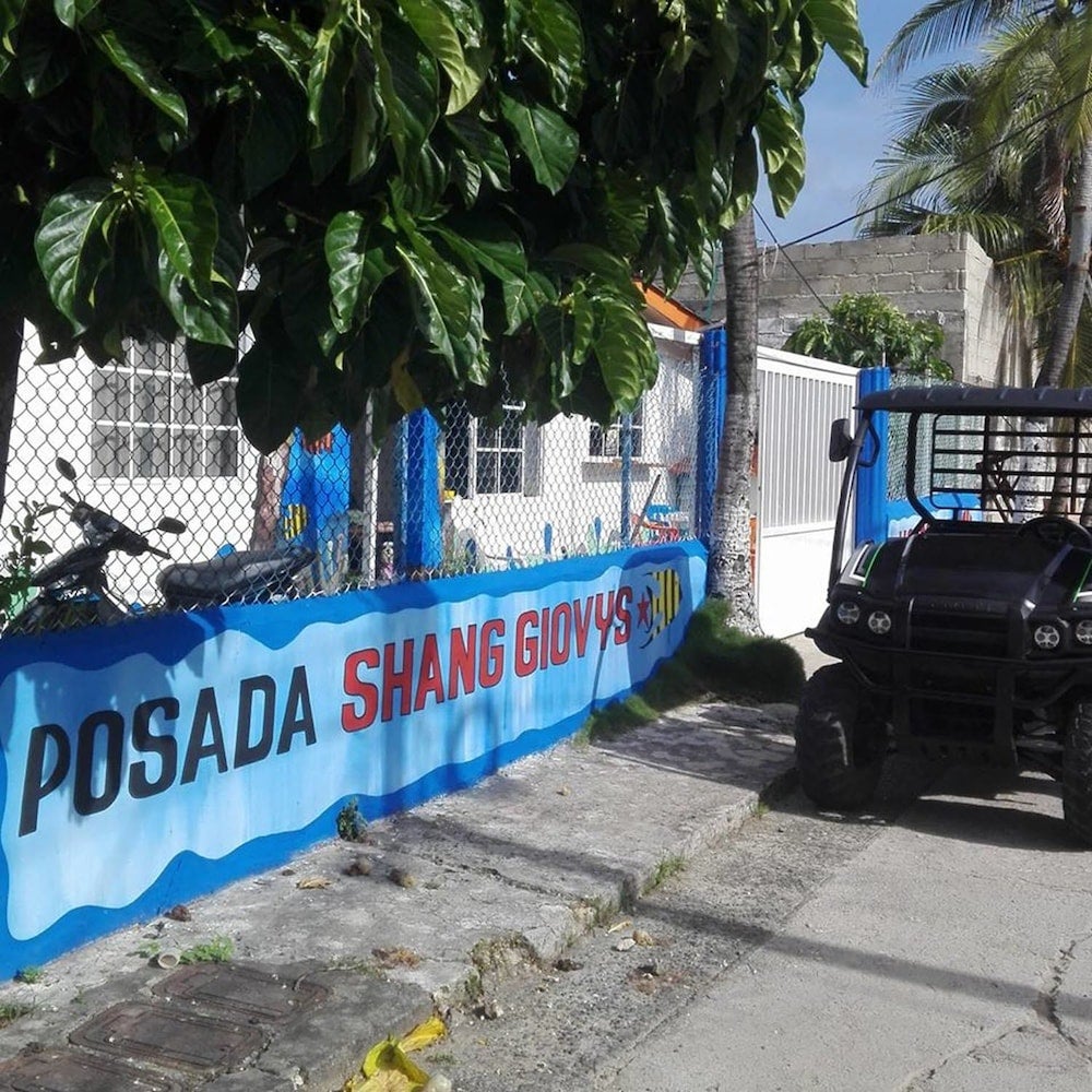 Imagen 4 de 29