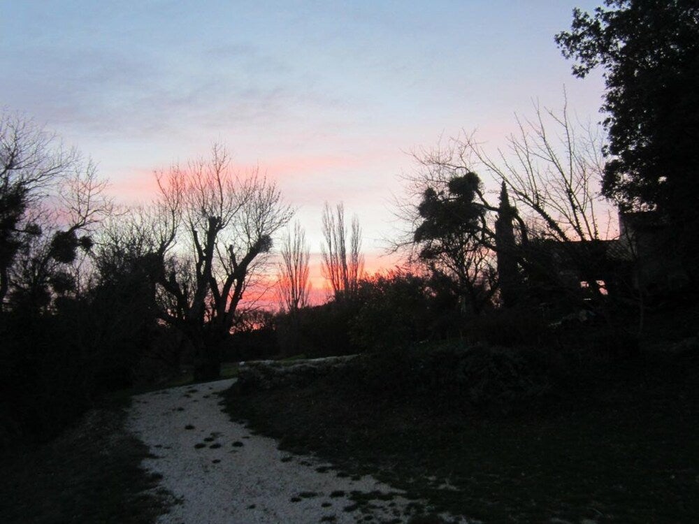Imagen 4 de 12