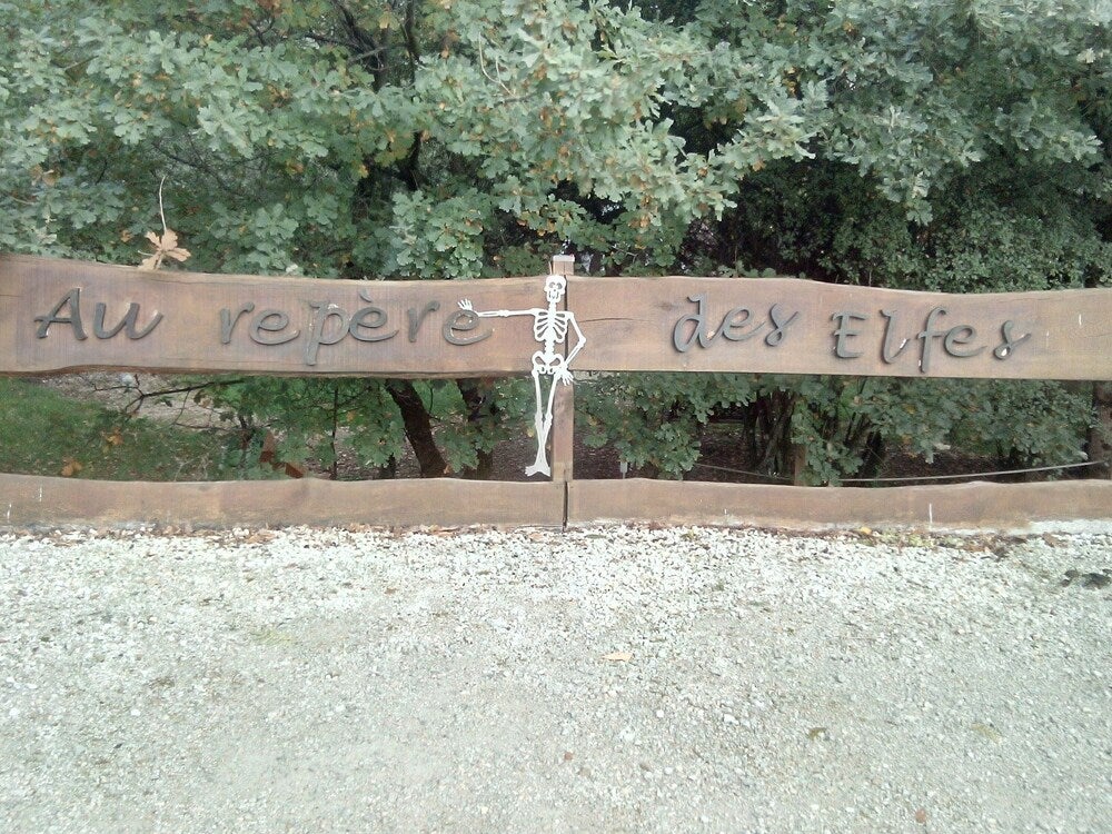 Imagen 3 de 31