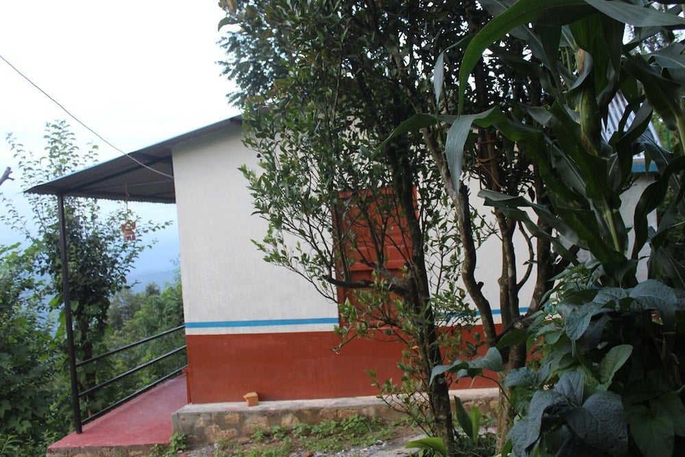 Imagen 3 de 8