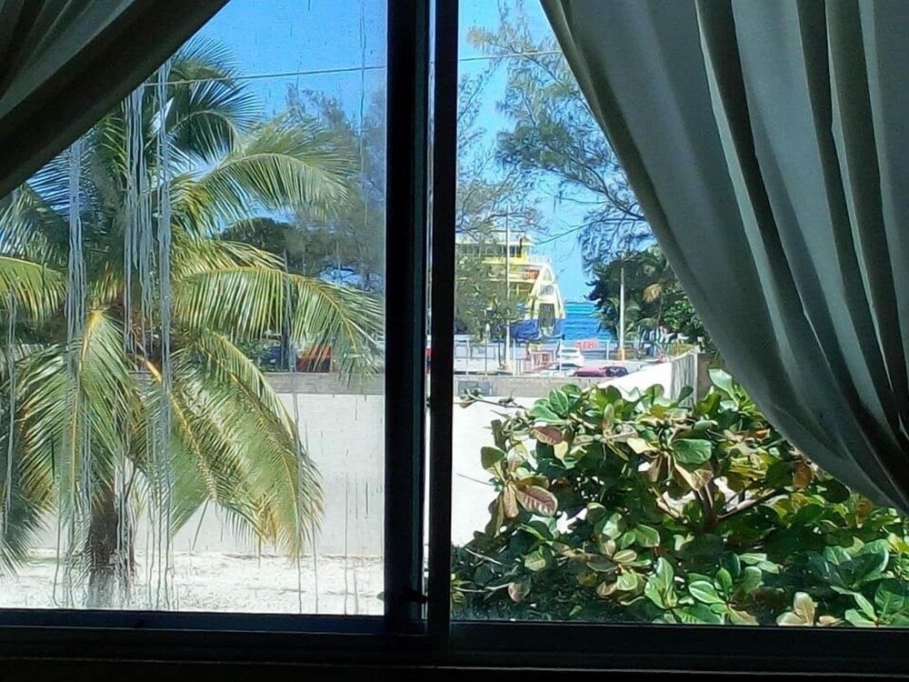 Imagen 3 de 35