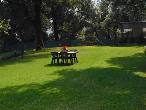 Imagen 3 de 20