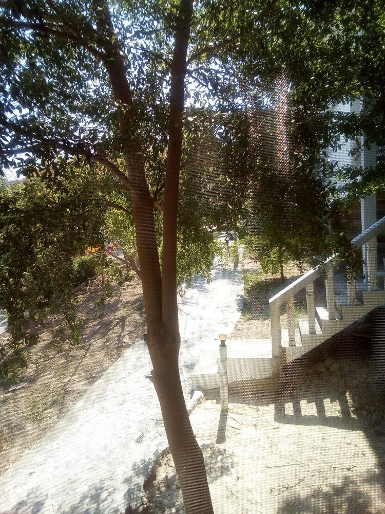 Imagen 3 de 9