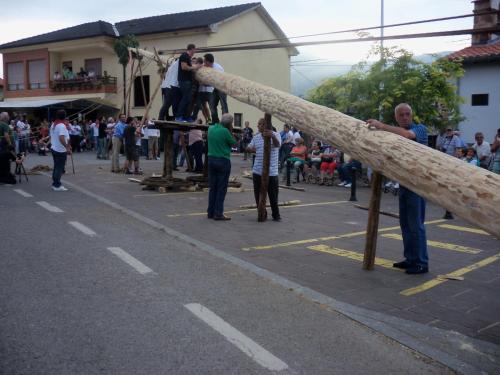Imagen 1 de 47