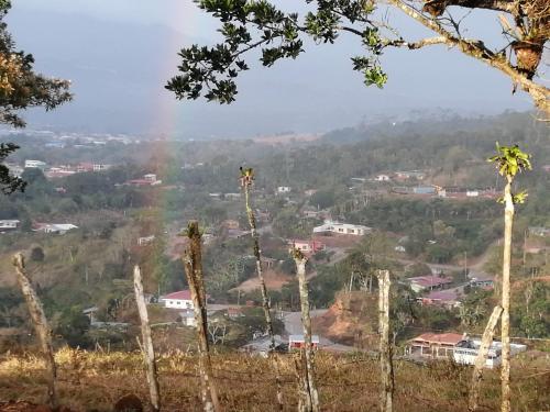 Imagen 3 de 59