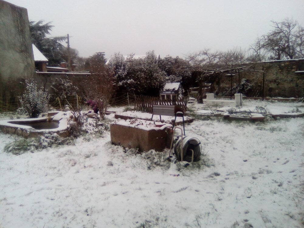 Imagen 2 de 11