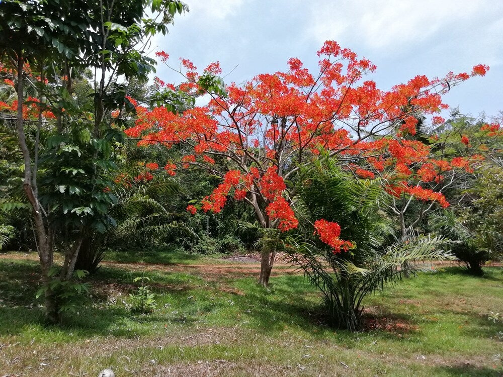 Imagen 5 de 67