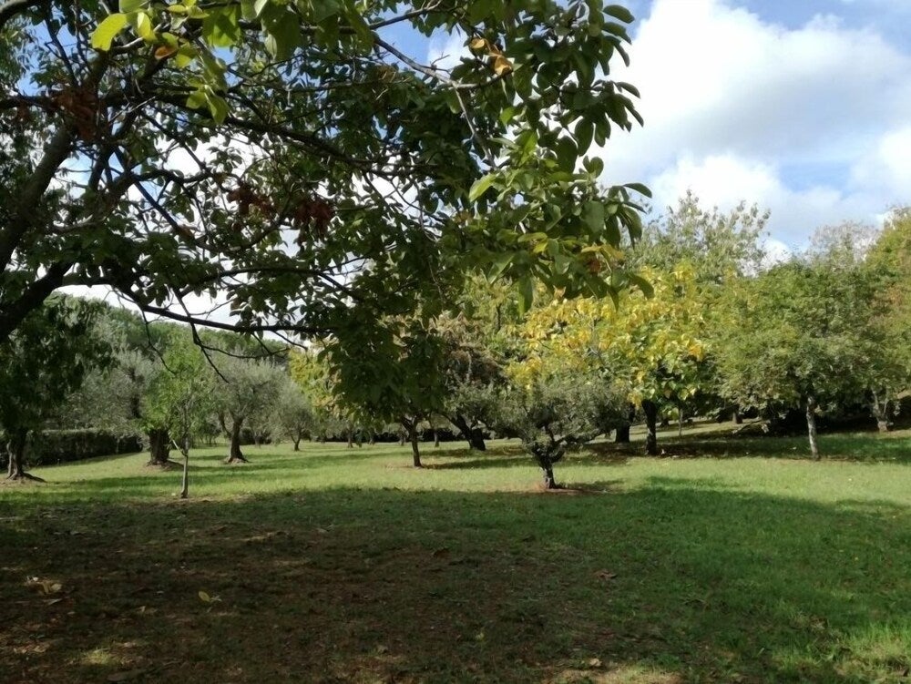 Imagen 5 de 27