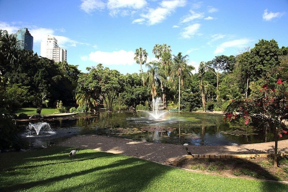 Imagen 4 de 18