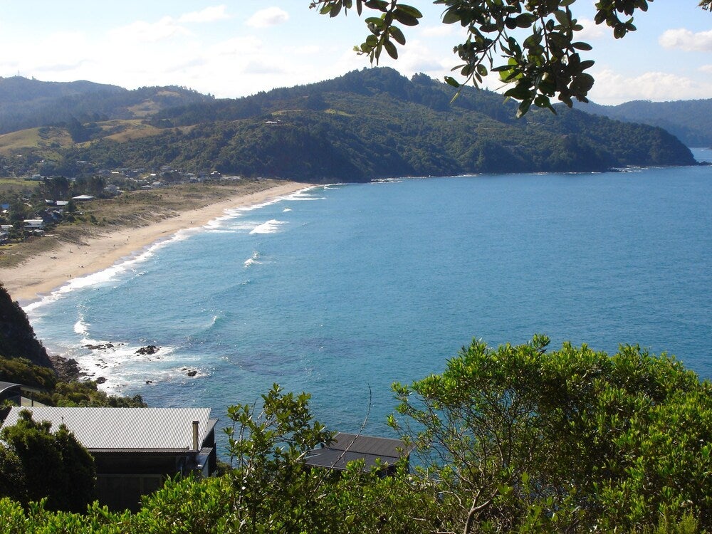 Imagen 3 de 12