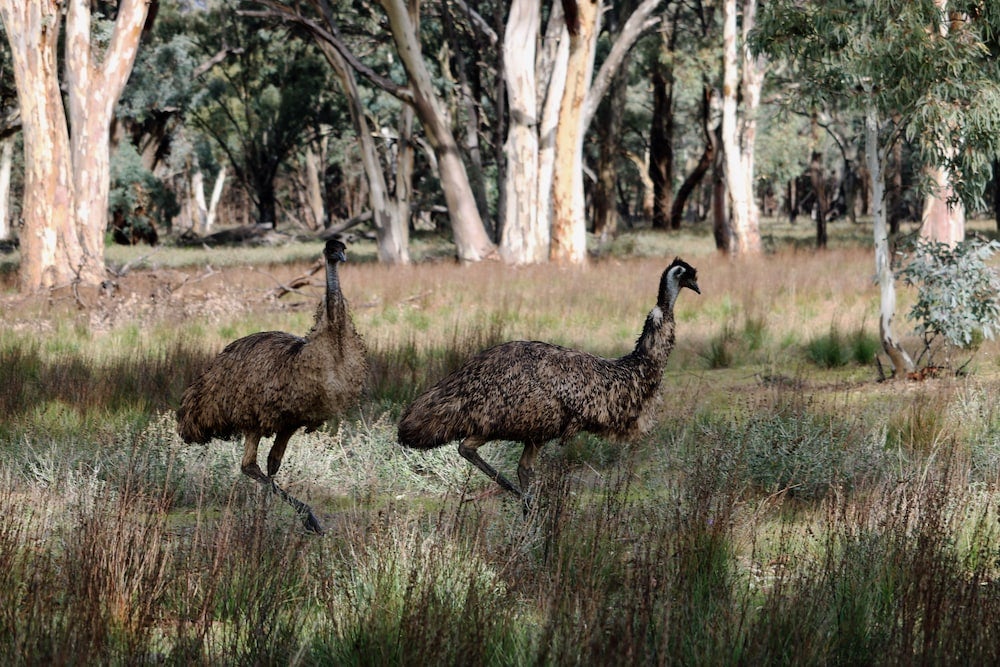Imagen 3 de 29