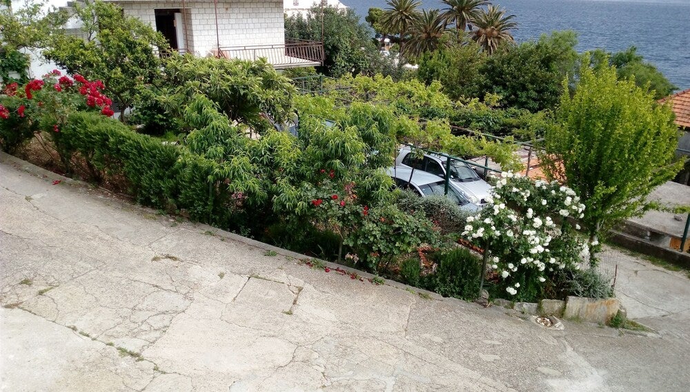 Imagen 2 de 2