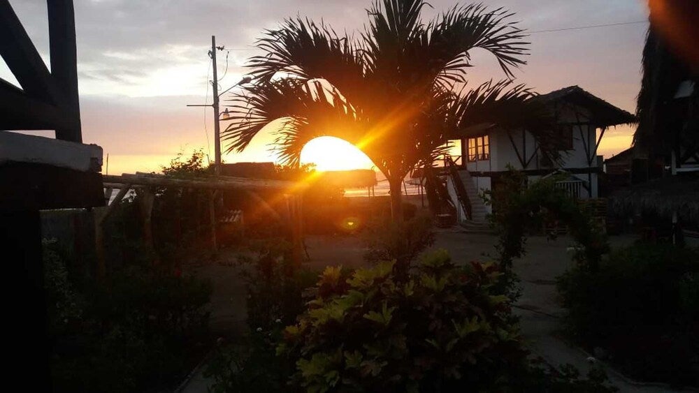 Imagen 3 de 19