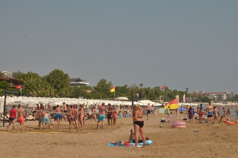 Imagen 3 de 14